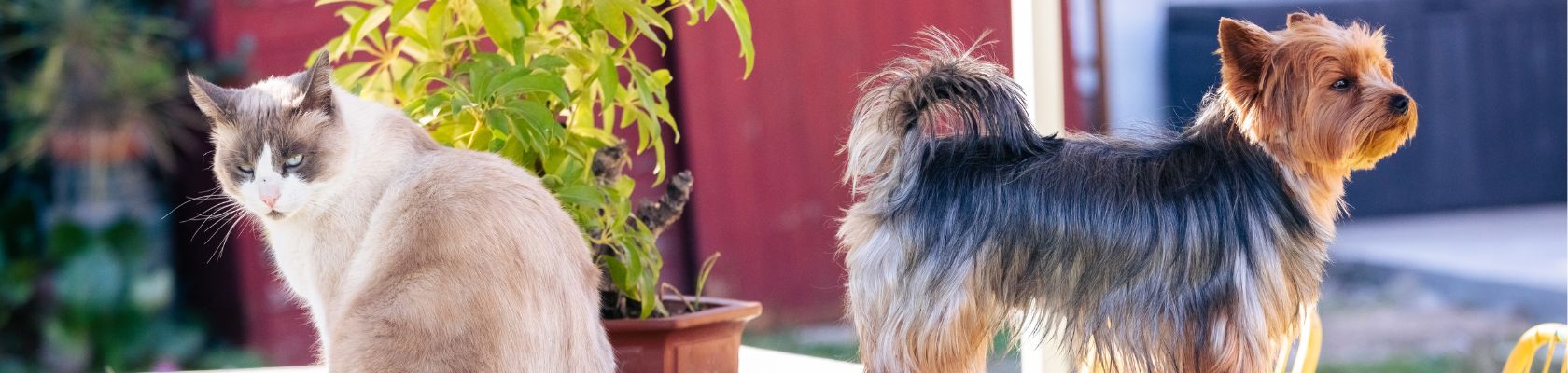 Website_Banner_1680x400 - 10 Website_Banner_1680x400 - 10